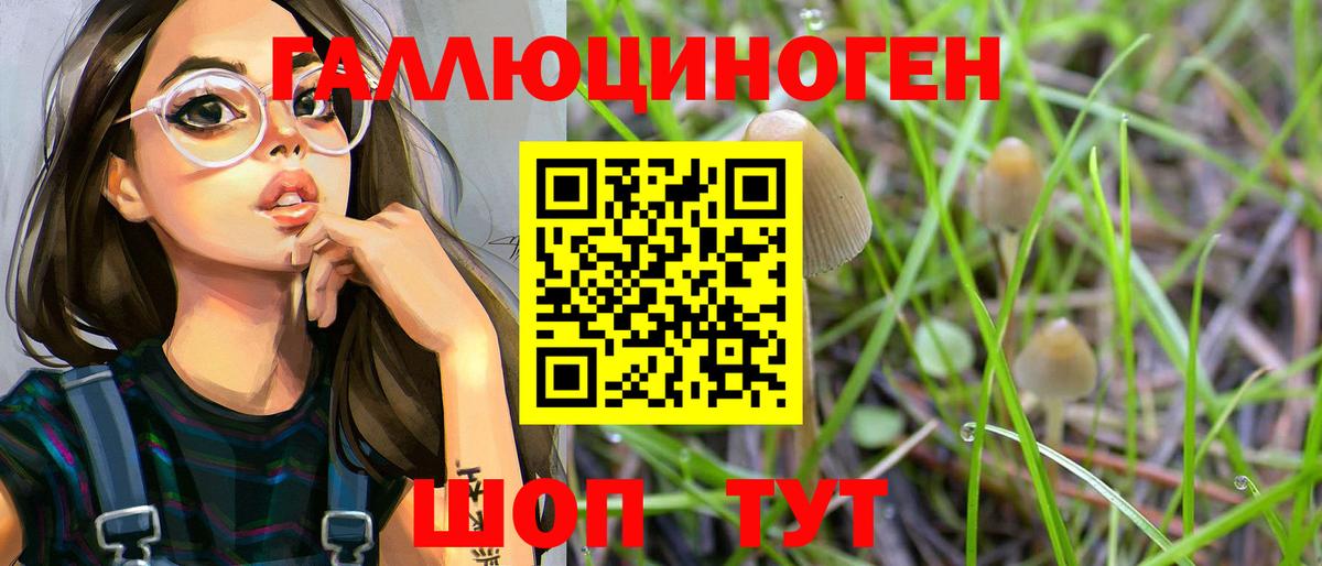 Псилоцибиновые грибы Cubensis Кудрово